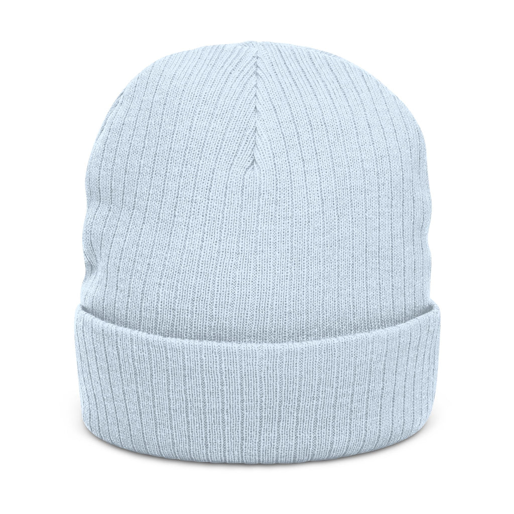 Emerald Flyer Skull Beanie