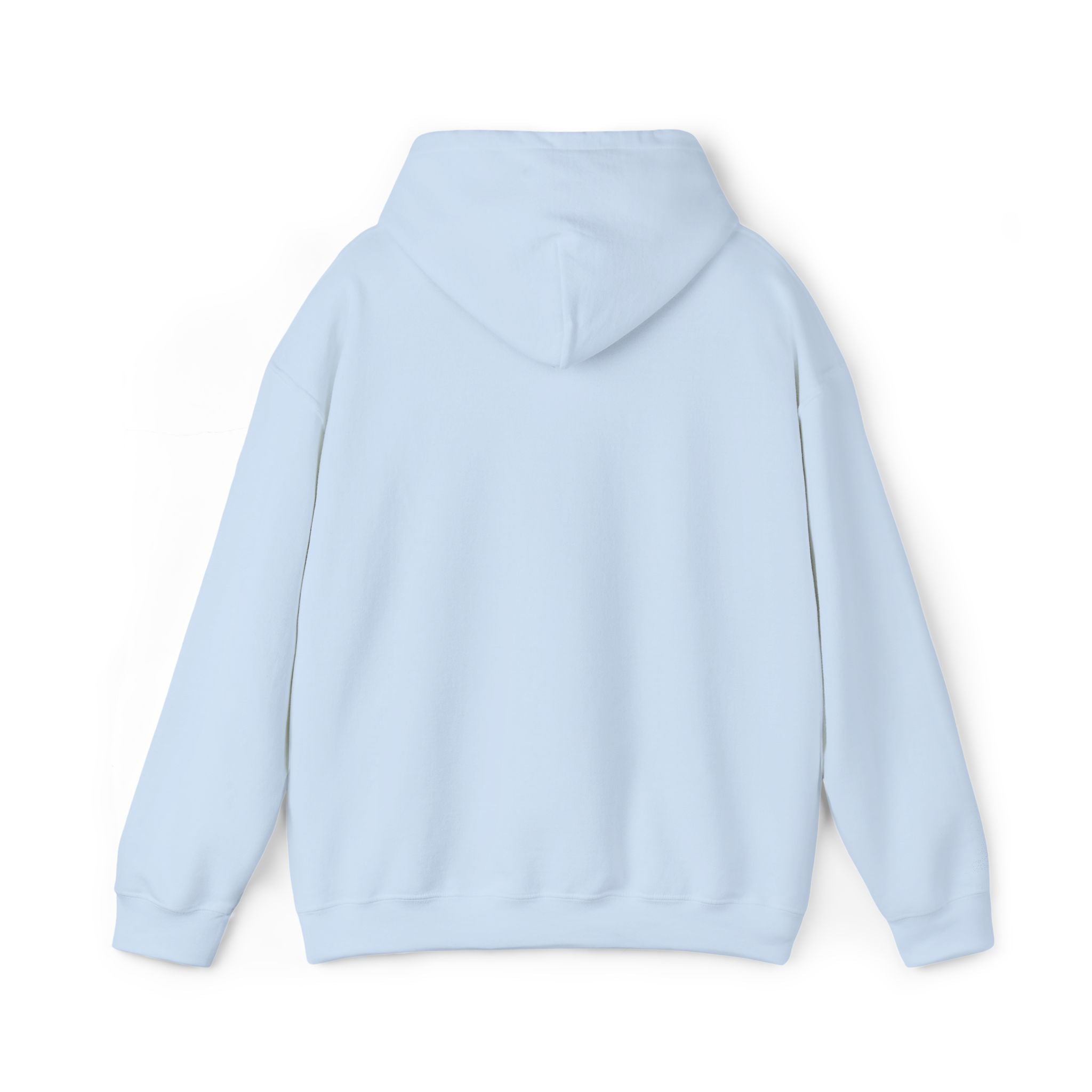 Emerald Flyer Hoodie Pullover