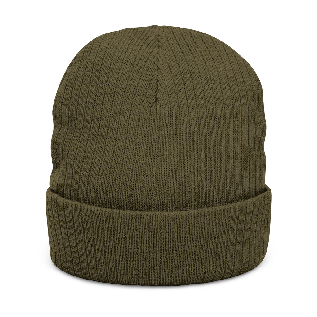Emerald Flyer Skull Beanie