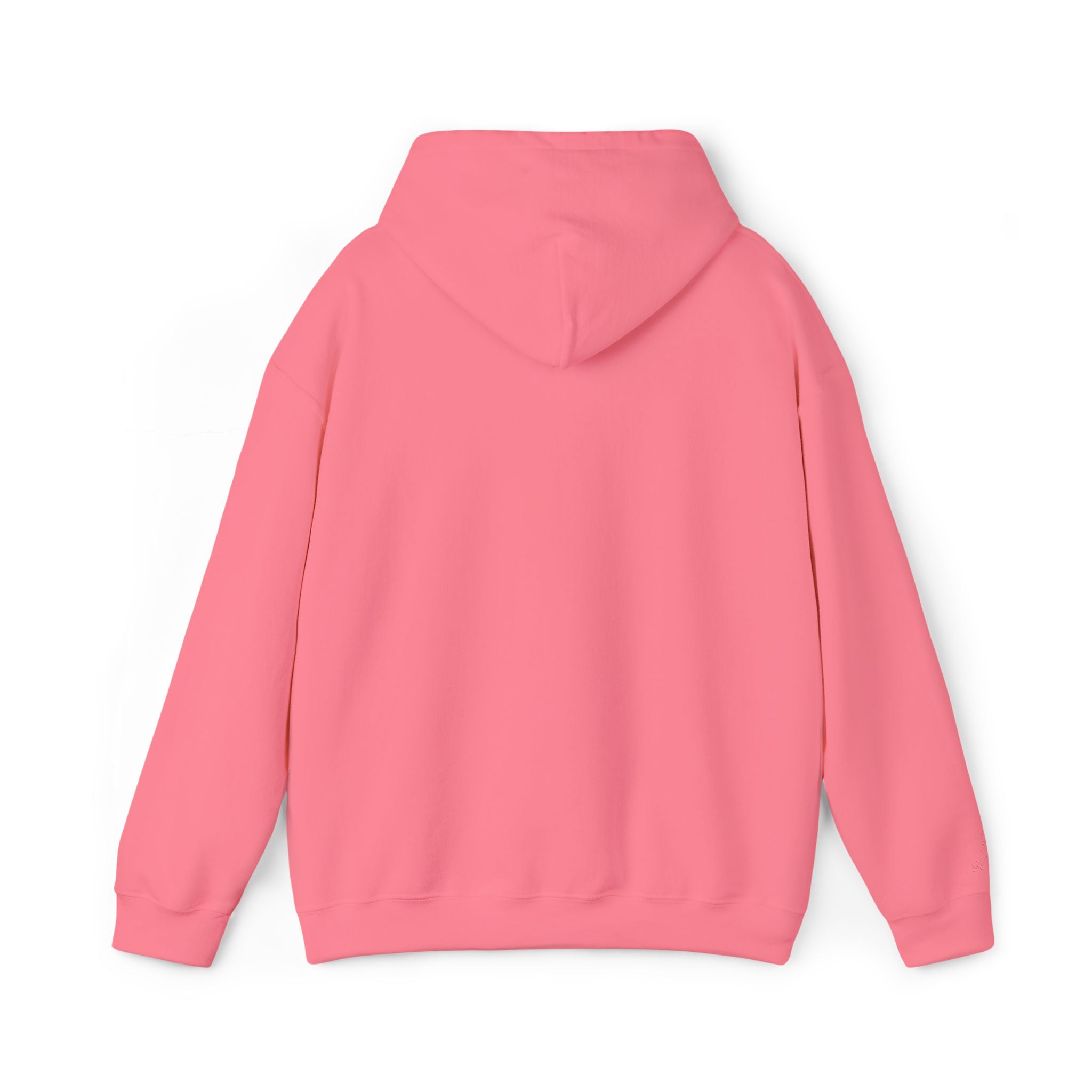Emerald Flyer Hoodie Pullover