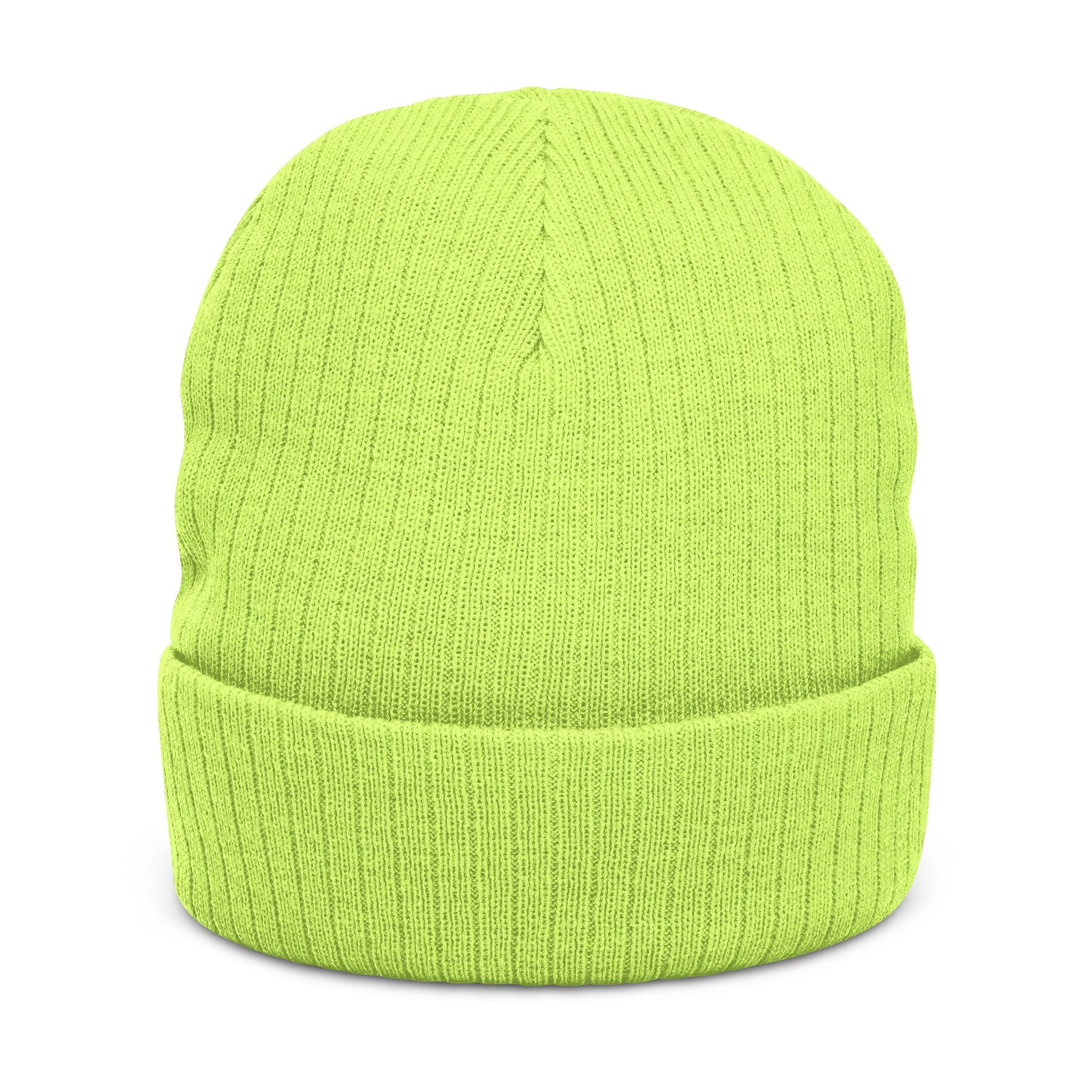 Emerald Flyer Skull Beanie