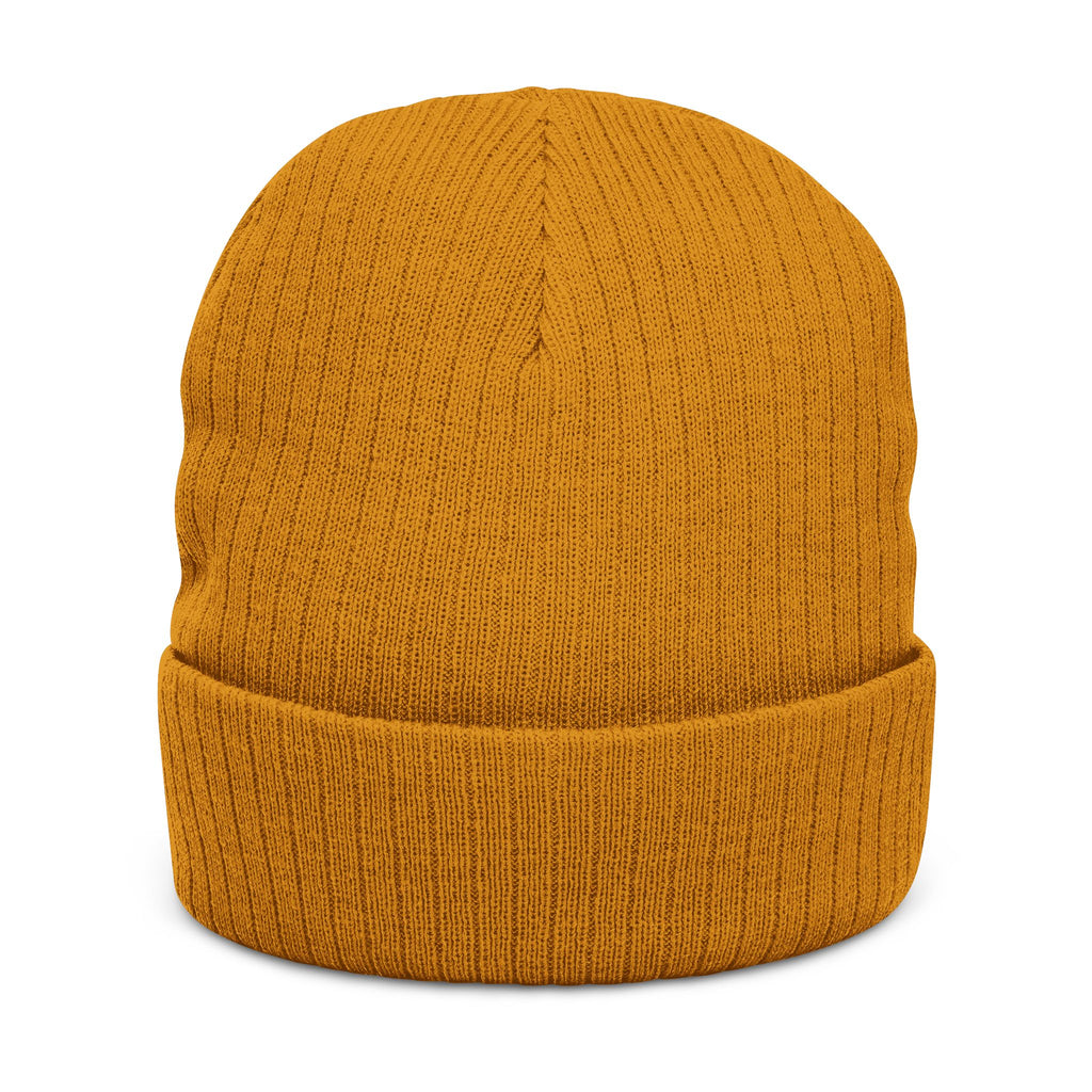 Emerald Flyer Skull Beanie